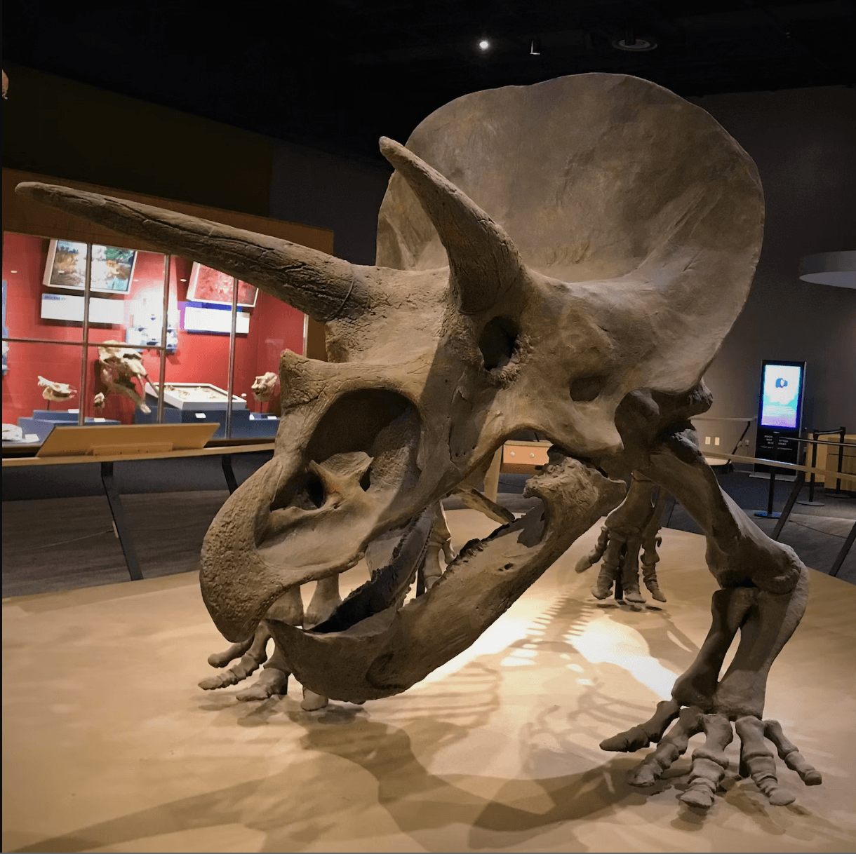 Cleveland Natural History Museum Photo Credit: Richard Martin