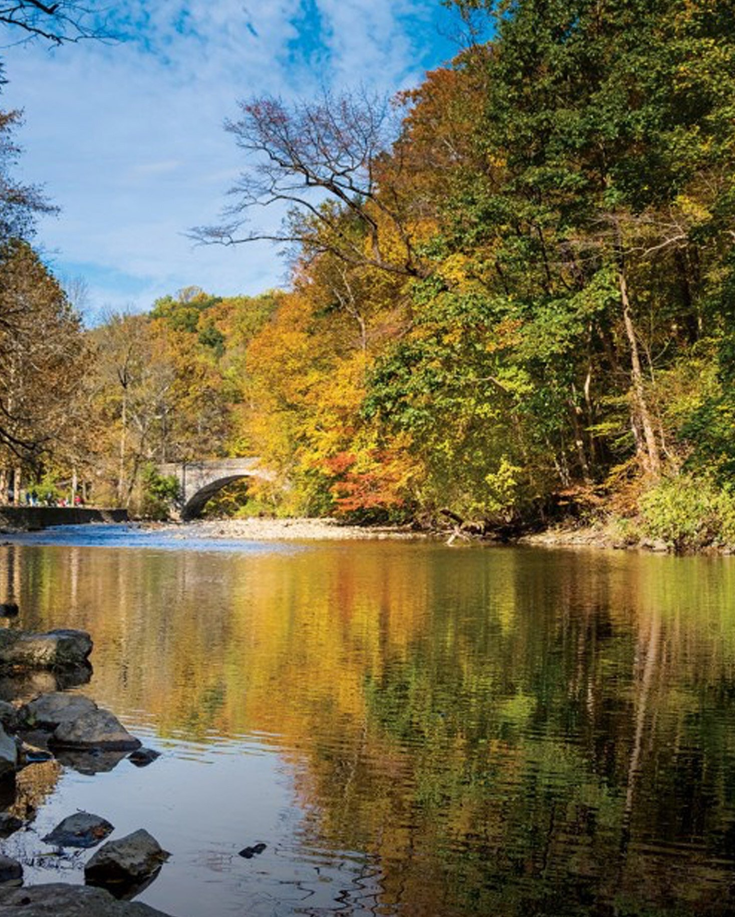 Wissahickon-Valley-Park-Philadelphia-Attraction-ROOST Wissahickon-Valley-Park-Philadelphia-Attraction-ROOST