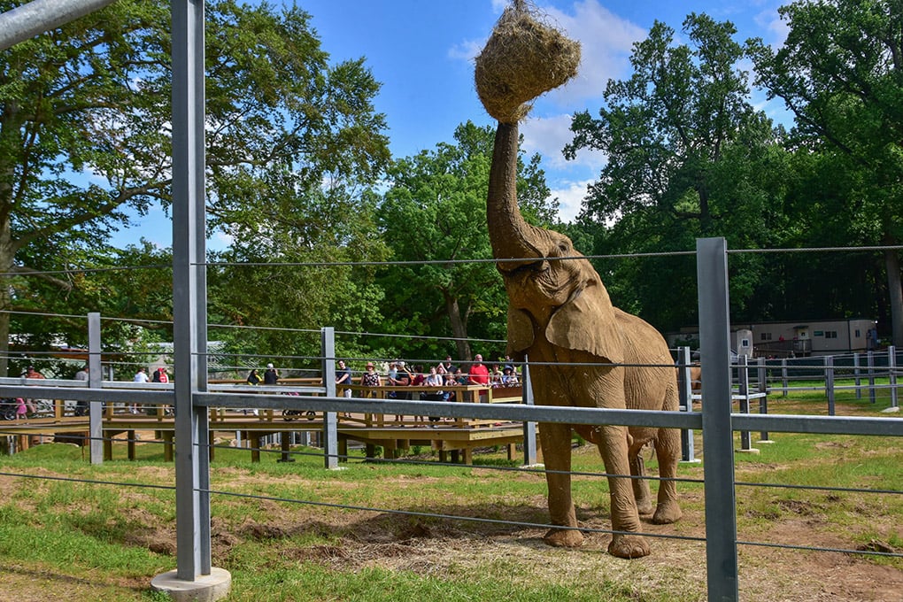 The Maryland Zoo