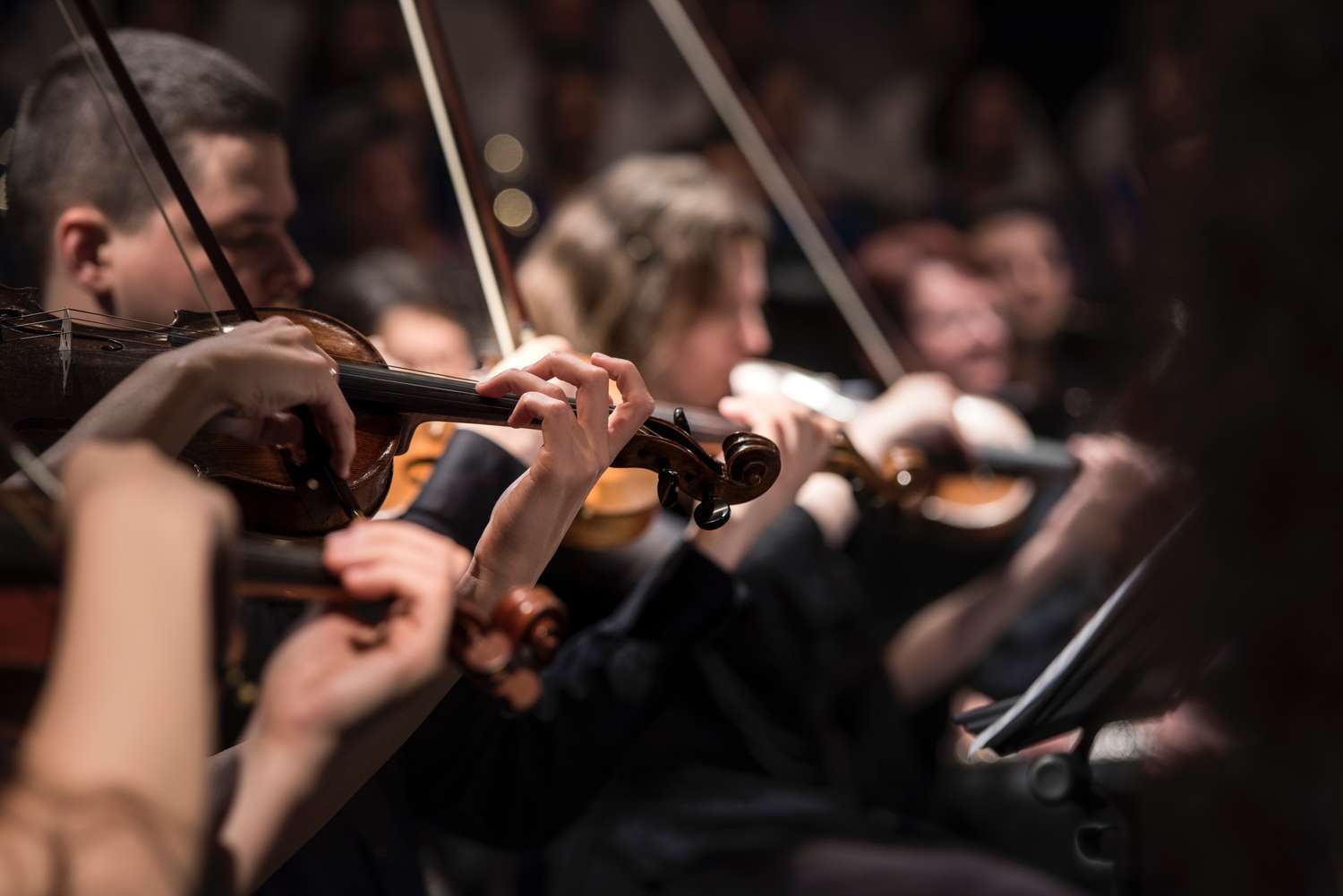 Detroit Opera House Orchestra Photo Credit: Larisa Birta Detroit Opera House Orchestra Photo Credit: Larisa Birta