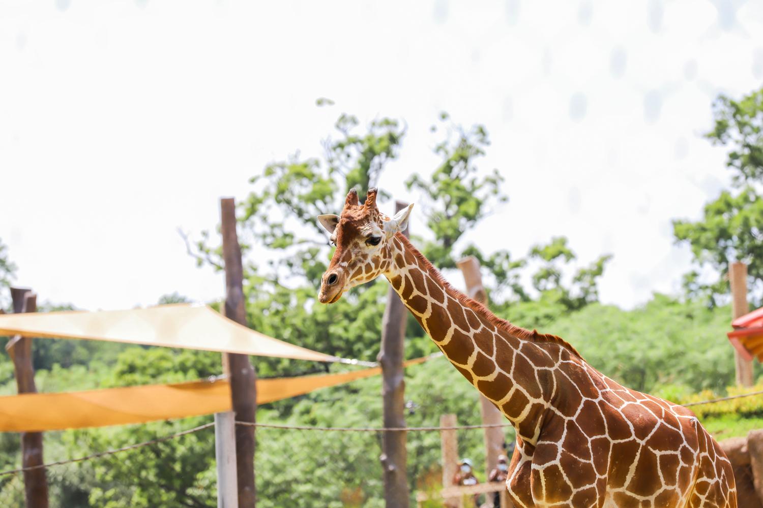 The Maryland Zoo Photo
