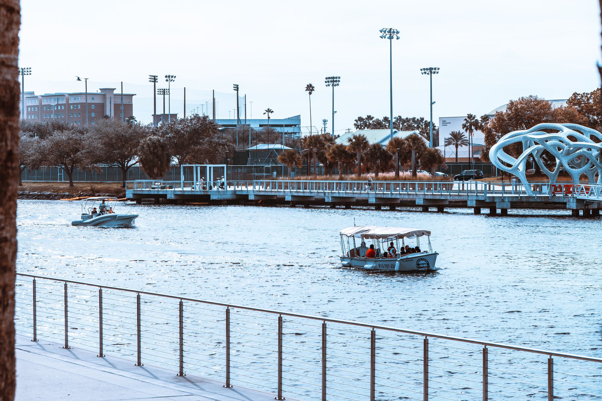 Free Things to Do in Tampa - ROOST Apartment Hotel